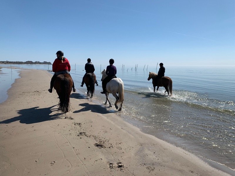 Møn Camping - Hårbølle Strand